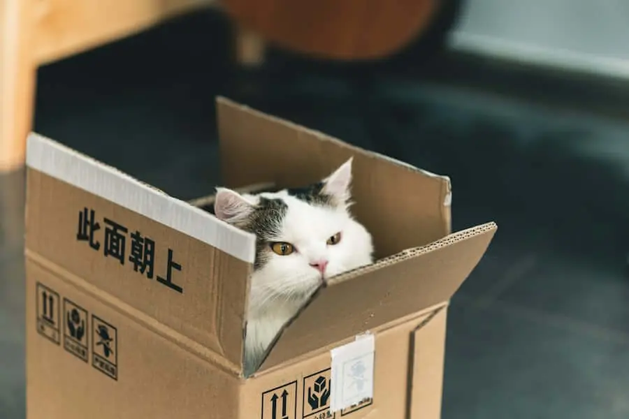 Home % • Custom Metal Parts,Lex Hardware,custom metal fabrication,custom precision parts,professional CNC Machining cat in the • Custom Metal Parts,Lex Hardware,custom metal fabrication,custom precision parts,professional CNC Machining